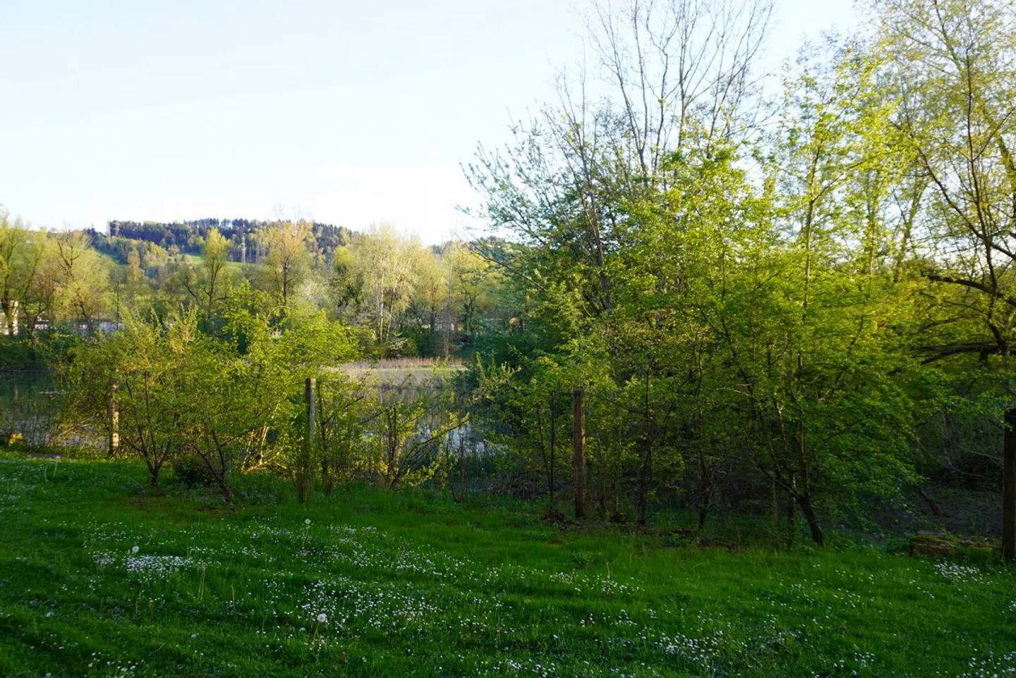 Large 2.5-room ground floor apartment at Bildweiher (No. 0.2) - Photo 14 of 14