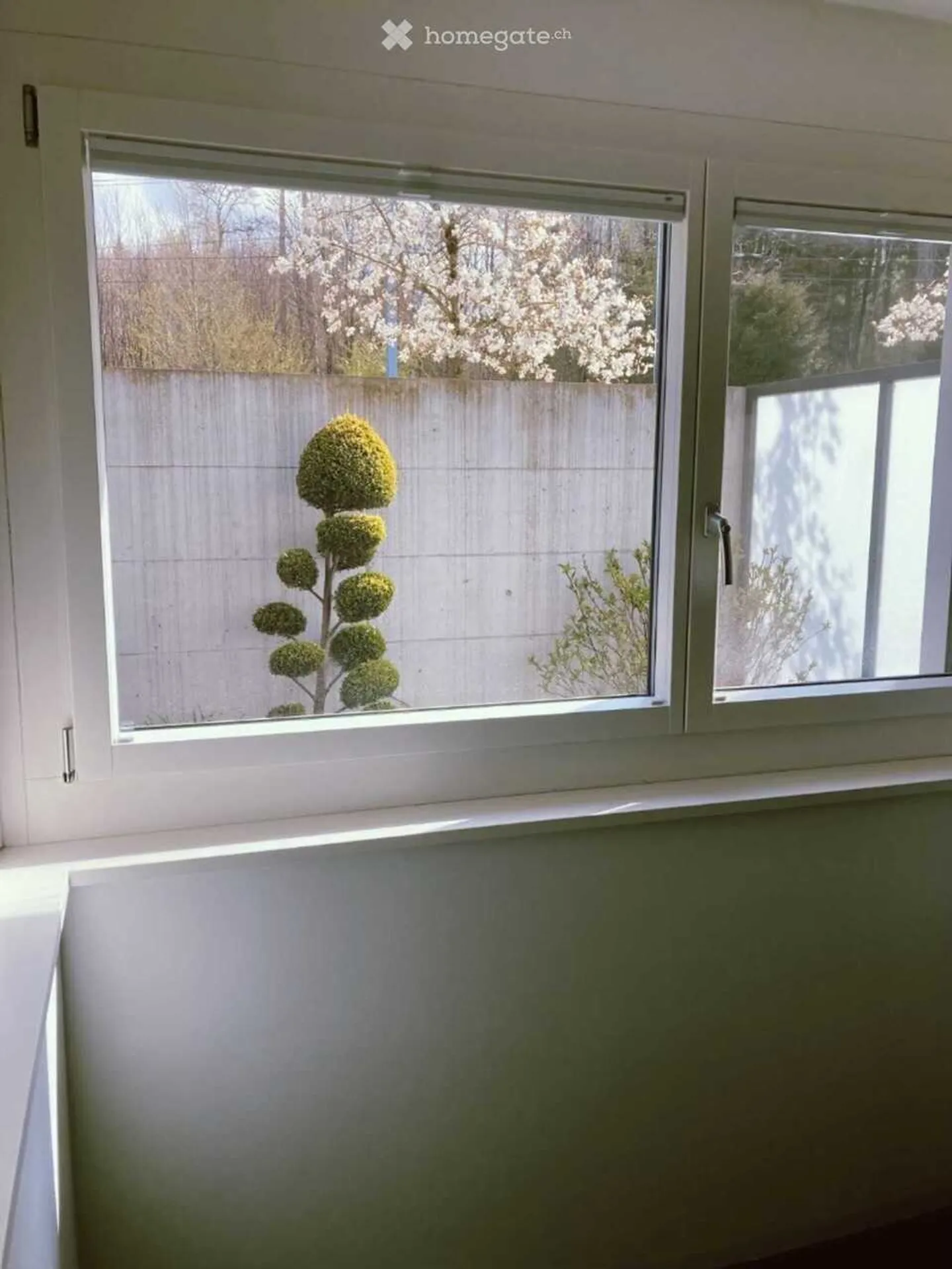 Studio - Foto 9 di 12