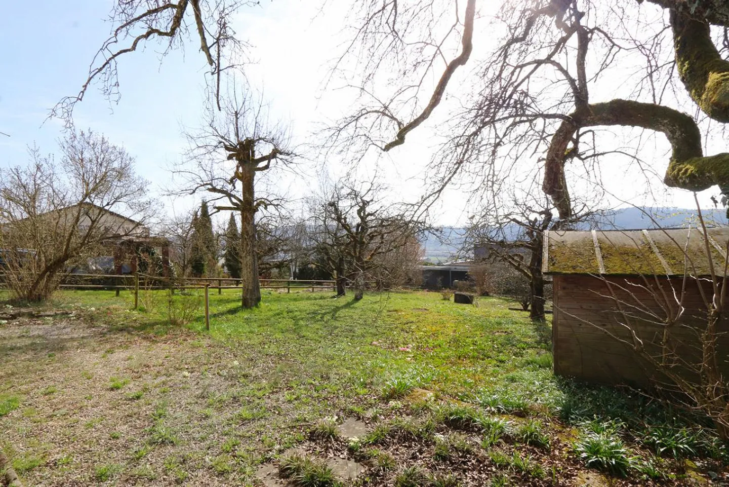 Attractive Property with Development Potential - Photo 20 of 25