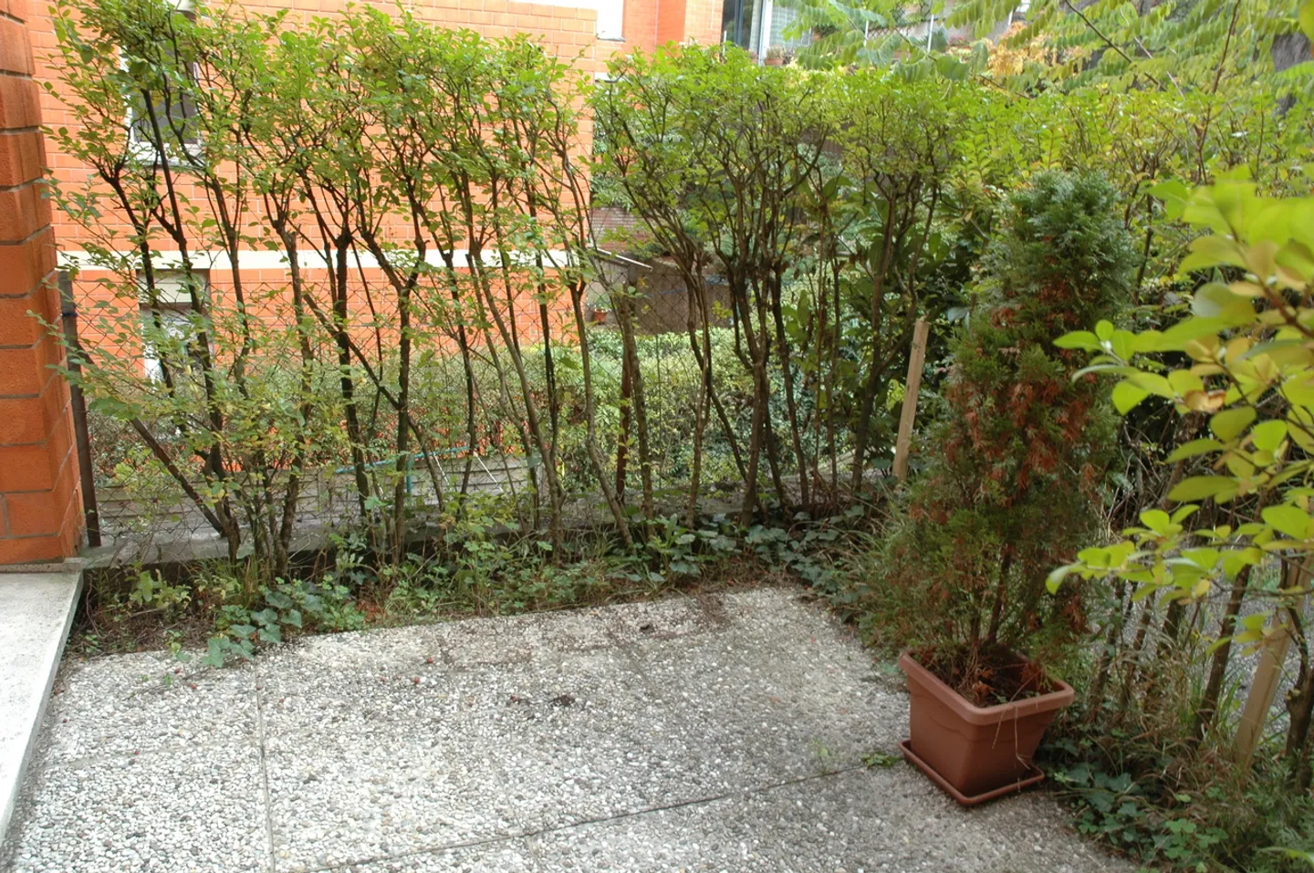Appartamento in affitto - Foto 8 di 11