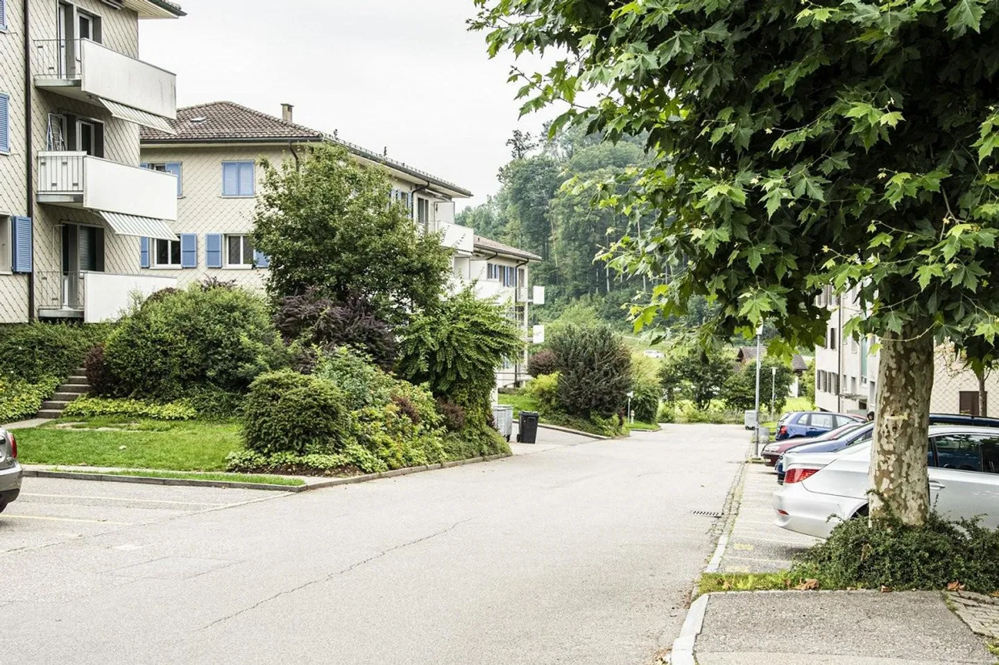 Quietly located 2.5 room apartment - Photo 1 of 5
