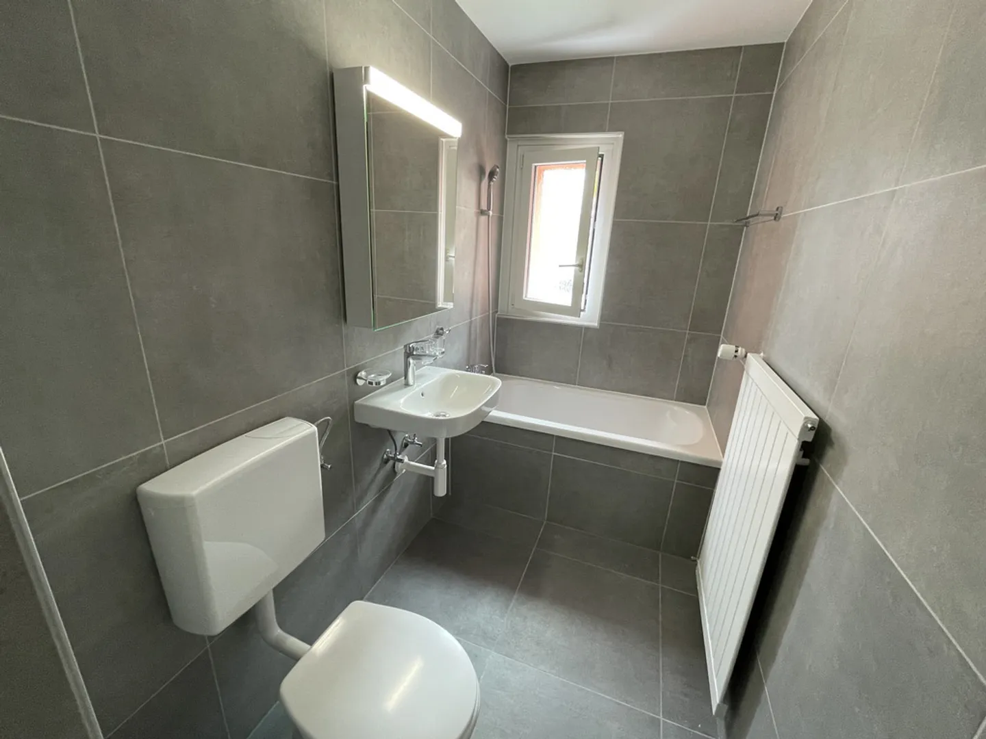 Beautiful Studio in Crissier - Photo 3 of 5