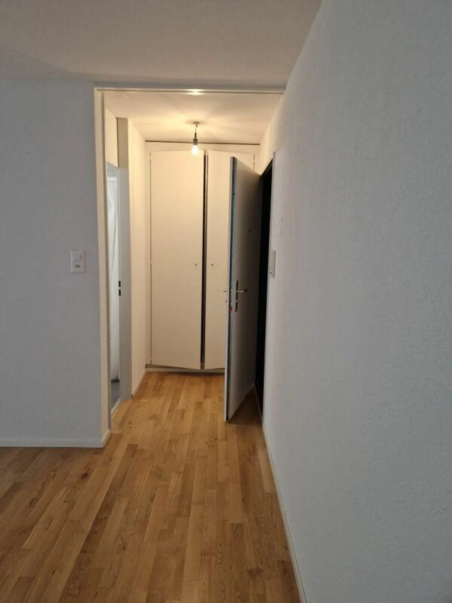 Appartement 1 pièce fraîchement rénové avec vue - Photo 5 sur 8