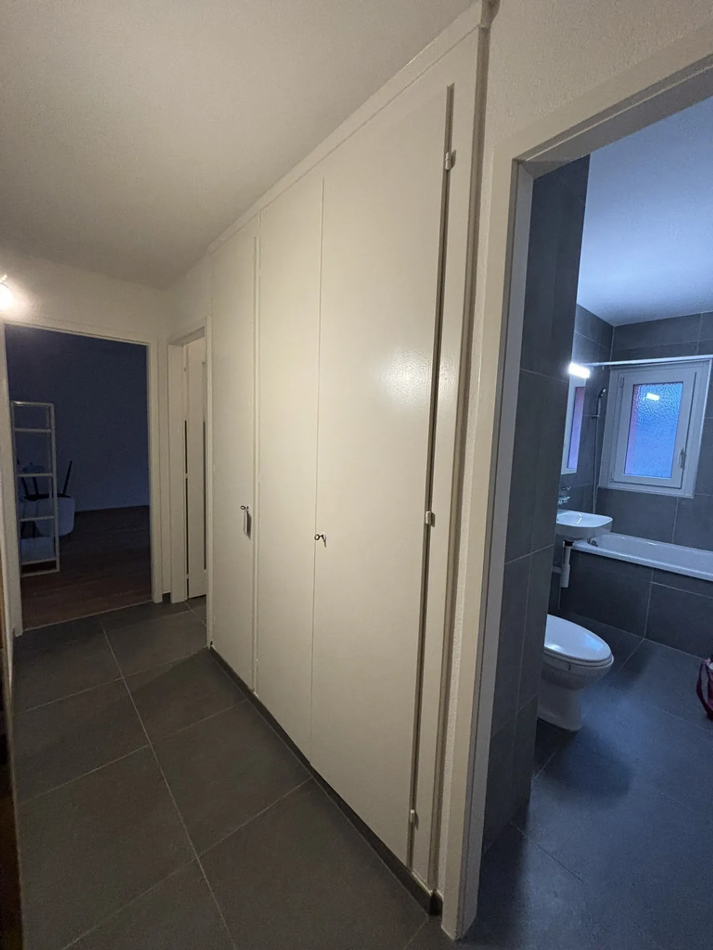 Beautiful Studio in Crissier - Photo 5 of 5