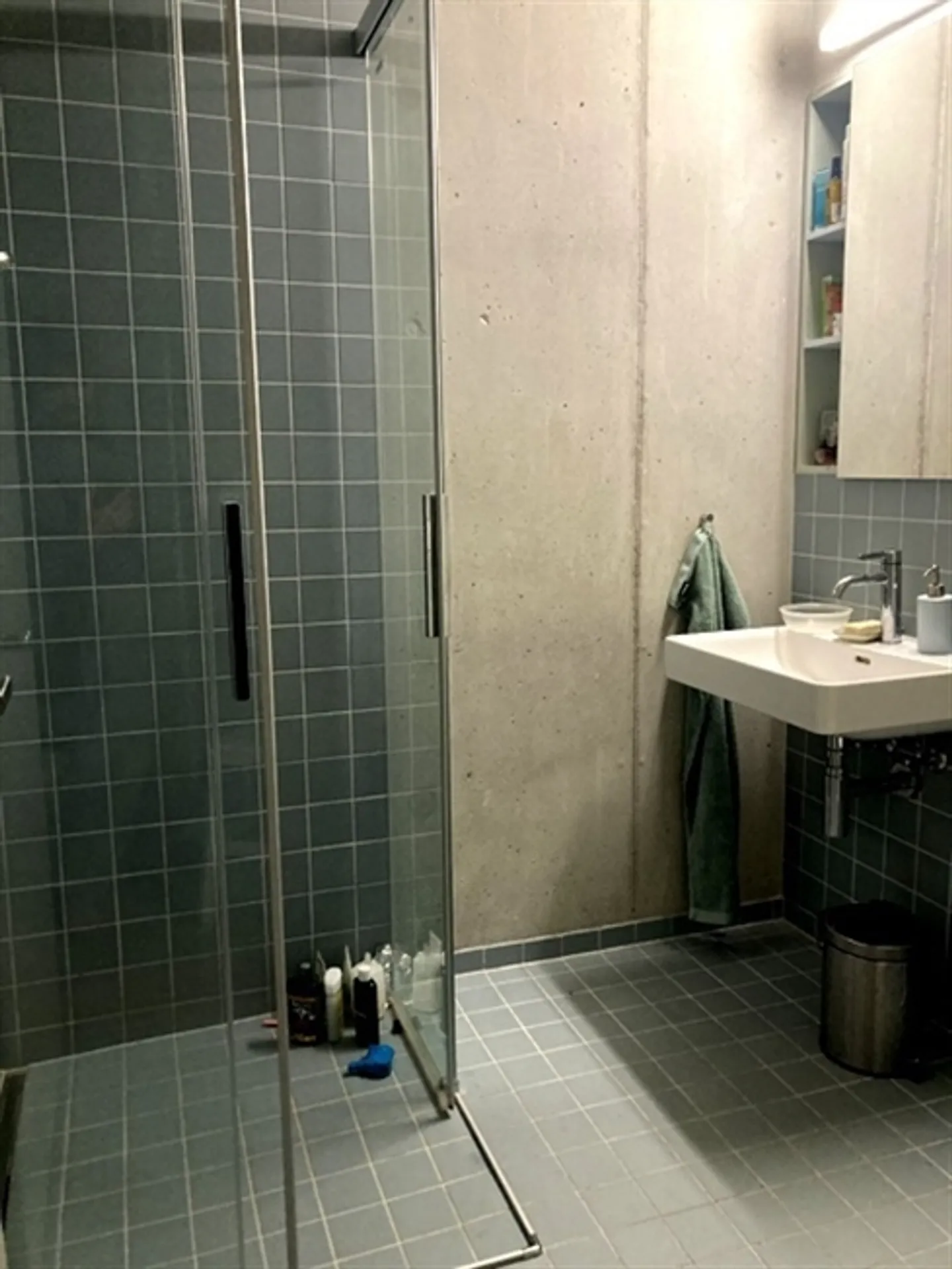 4½ ROOM APARTMENT IN BERN - MATTENHOF, FURNISHED, TEMPORARY - Photo 7 of 10