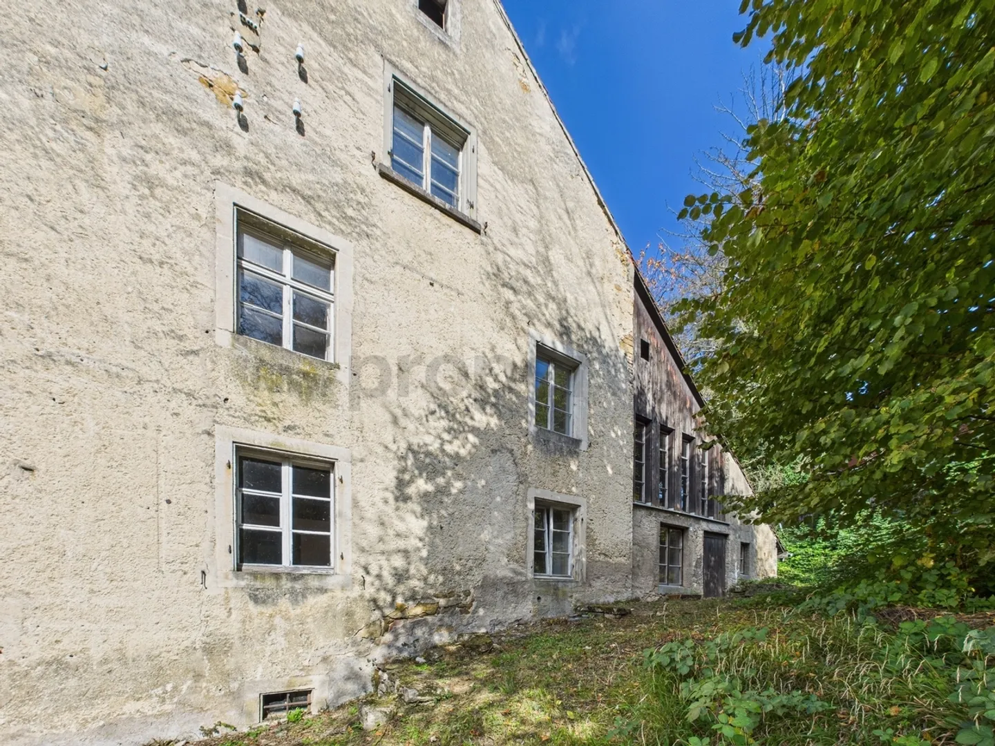 Ampia casa unifamiliare con potenziale ad Arisdorf - Foto 4 di 13