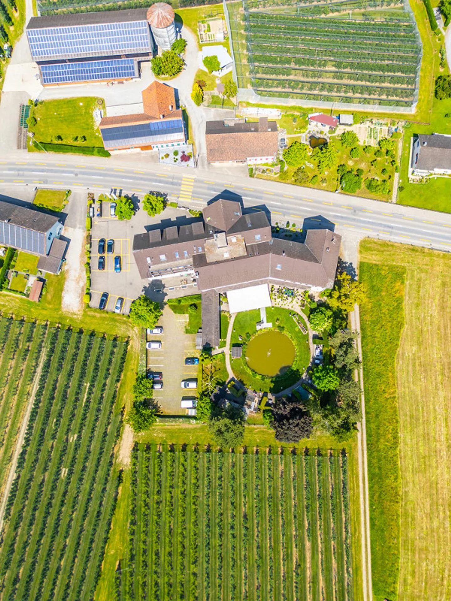 Proprietà commerciale di 3100 m2 - Foto 2 di 13