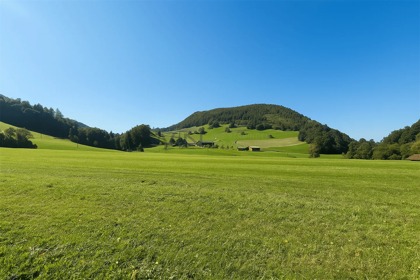Weniger Aufwand, mehr Lebensgefühl. - Foto 1 von 8