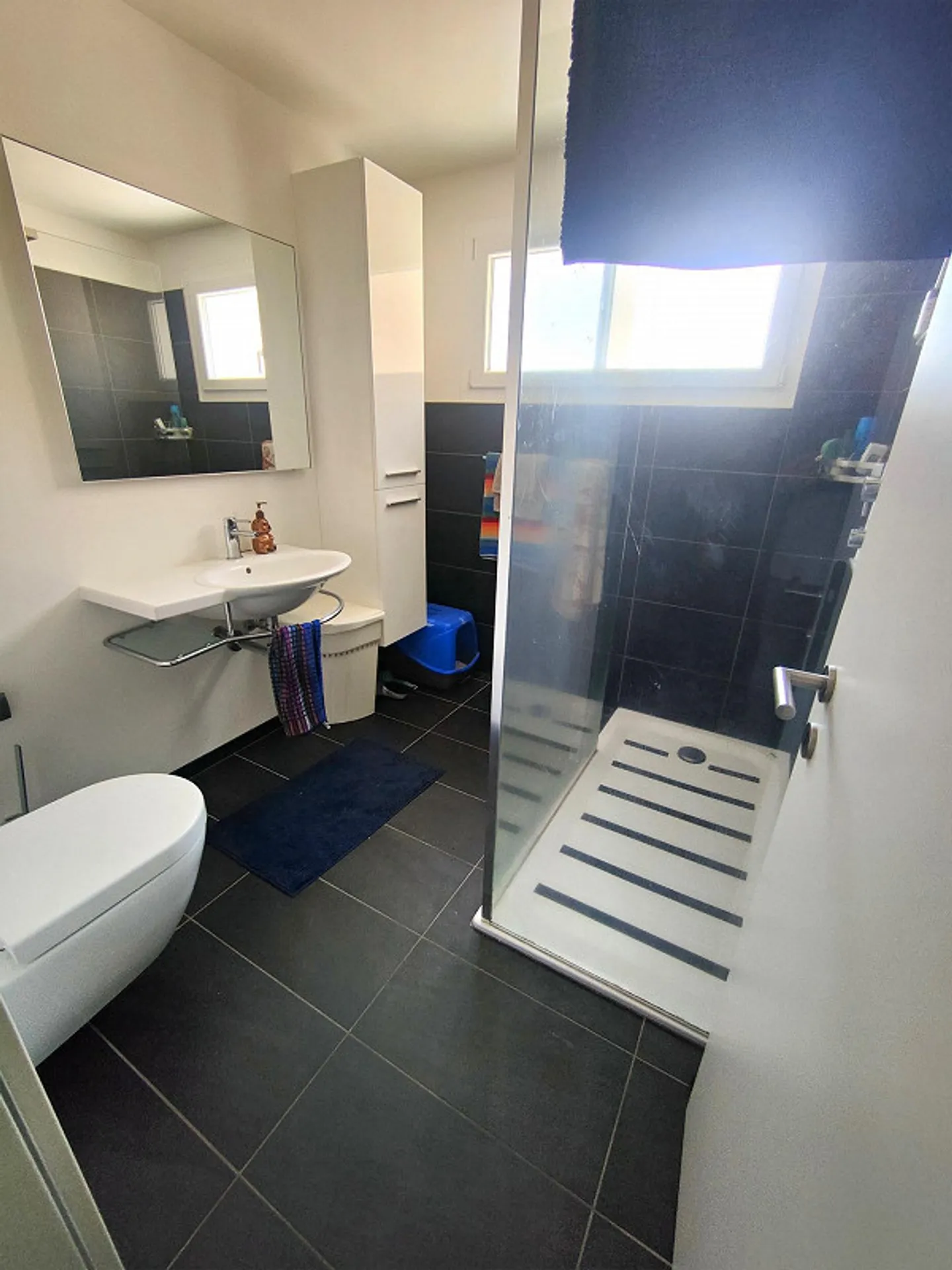 Appartement 3 ½ pièces, 1er étage, zone résidentielle Lumino - Photo 7 sur 12