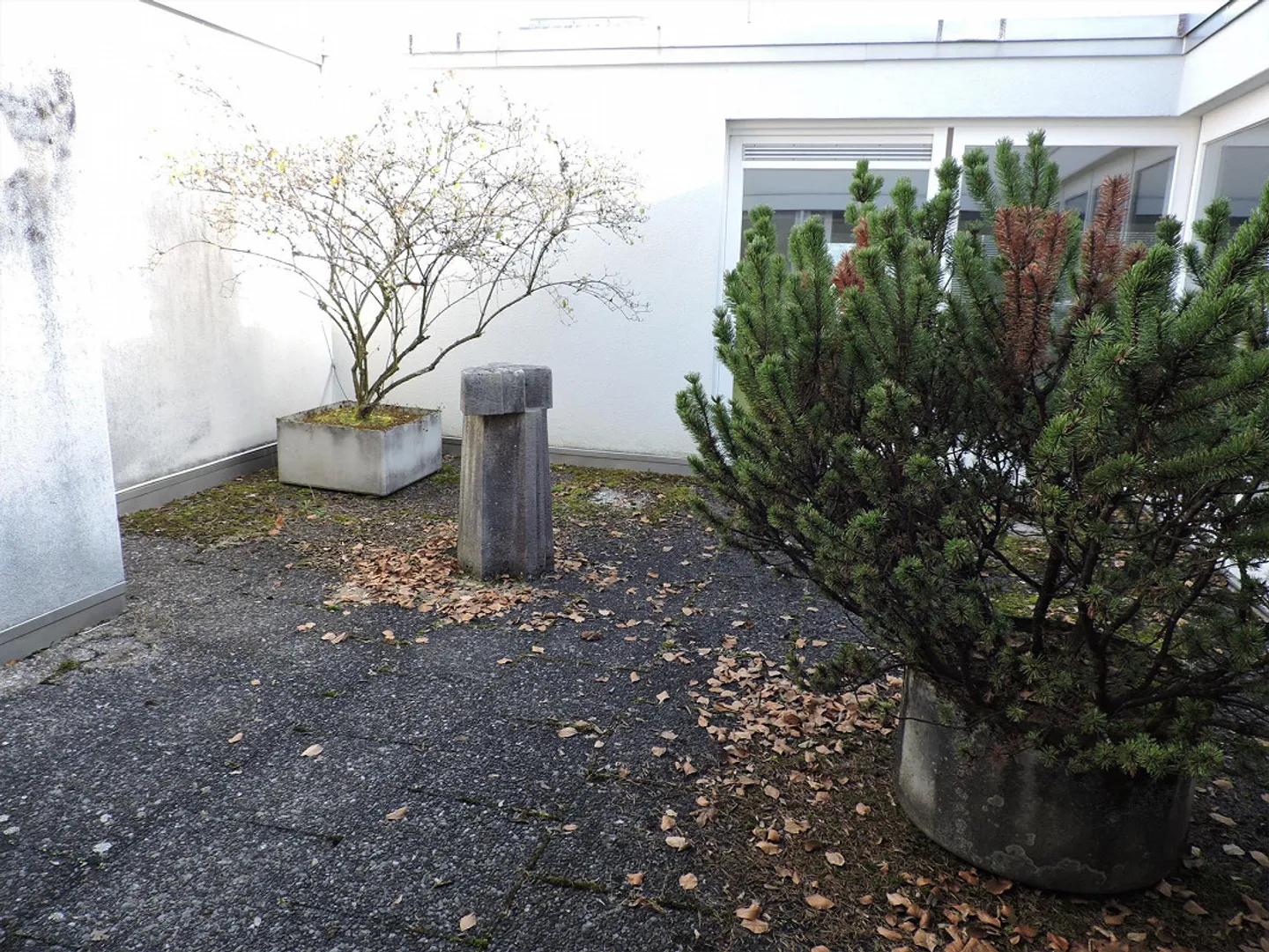 5.5 Room Row House - Photo 15 of 16