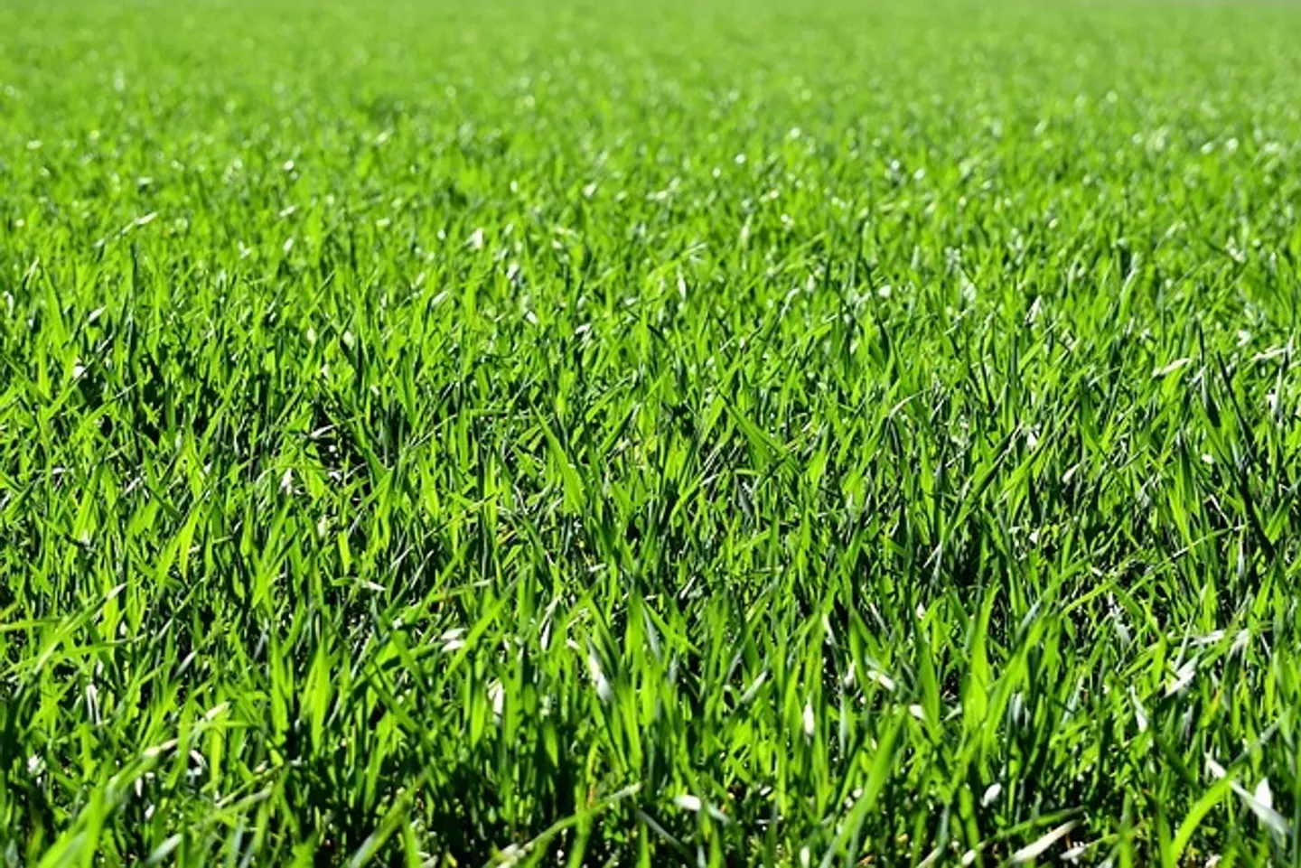 Constructible plot for sale - Photo 1 of 1