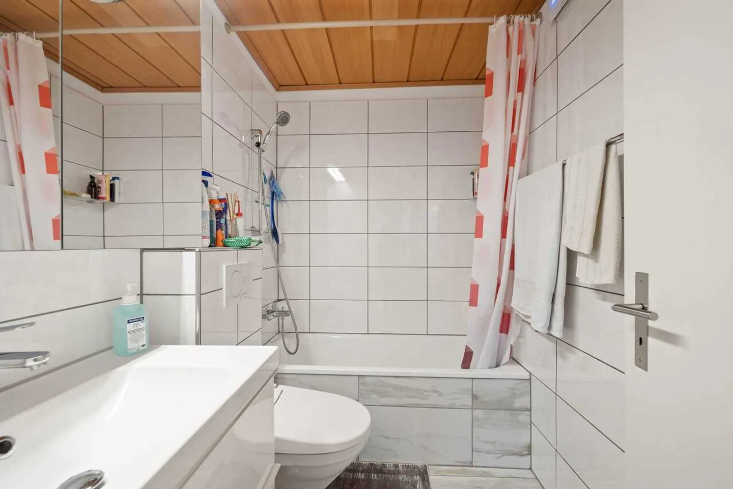 Renovated Apartment with Balcony - Photo 4 of 13