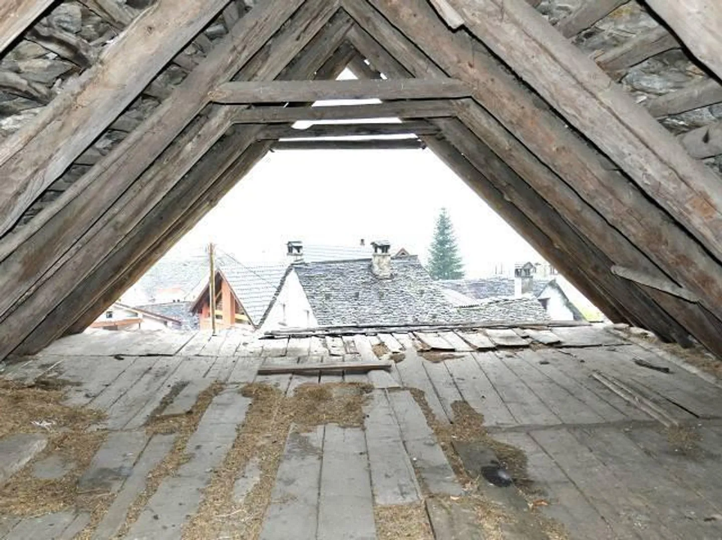 due rustici da ristrutturare molto tranquilla, soleggiata bella vista - Foto 10 di 20