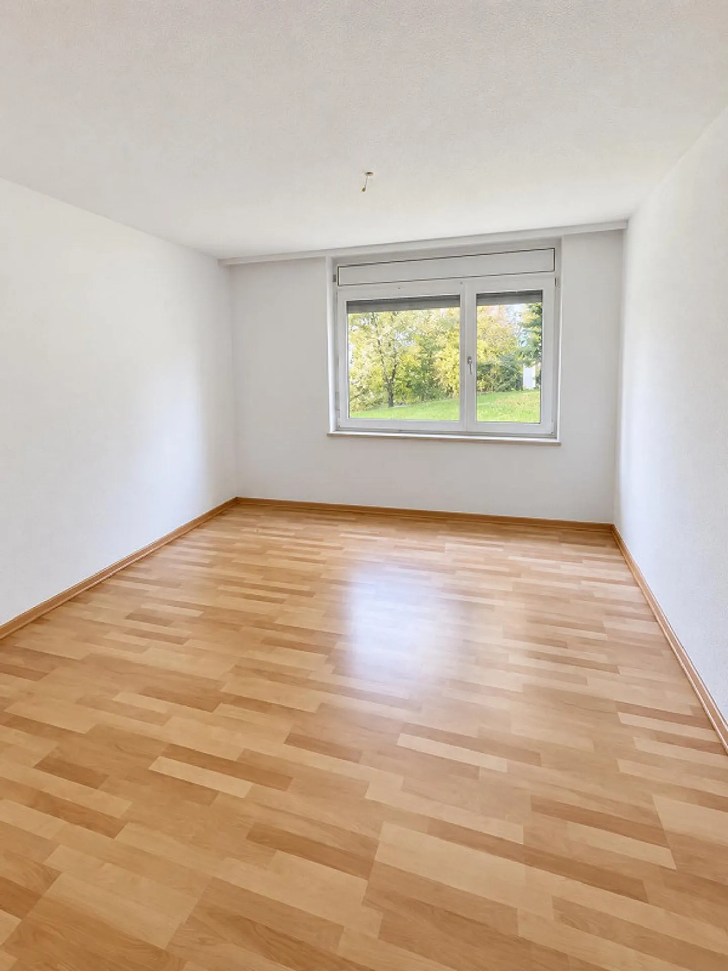 4.5-room apartment on the ground floor in Wiedlisbach - Photo 3 of 5