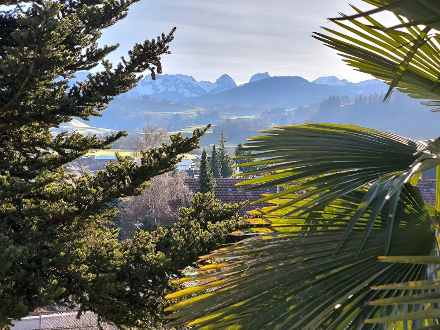 5.5-Room Single-Family House with View, Garden, and Expansion Potential - Photo 17 of 17