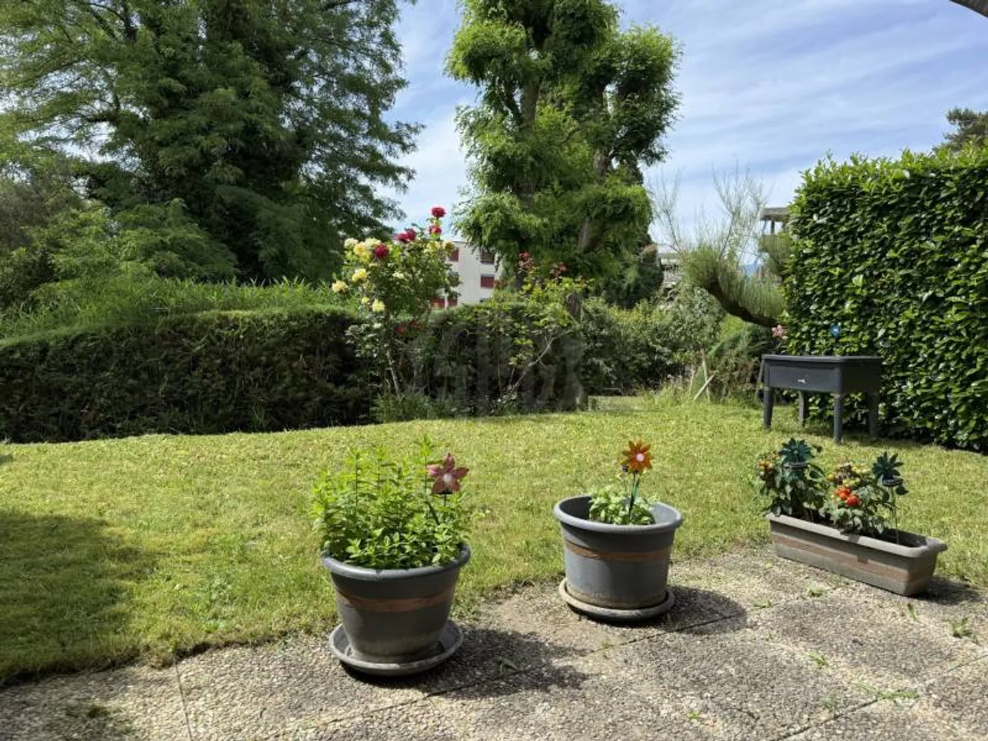 Beautiful Apartment - Yverdon-les-Bains - Photo 1 of 7