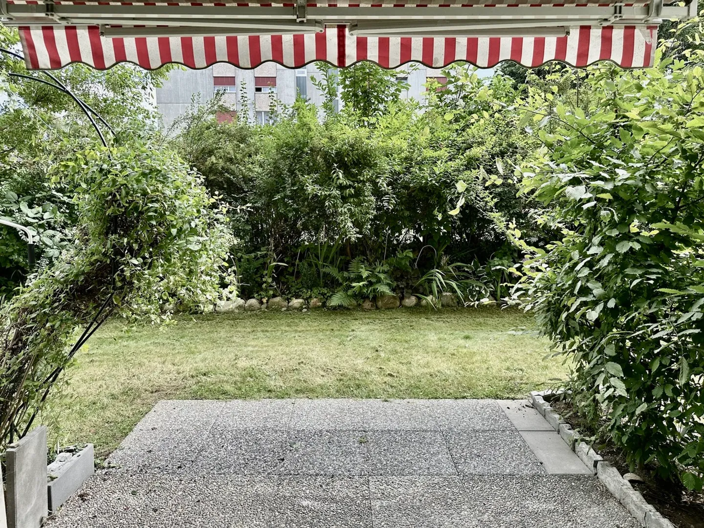Studio in affitto - Foto 5 di 7
