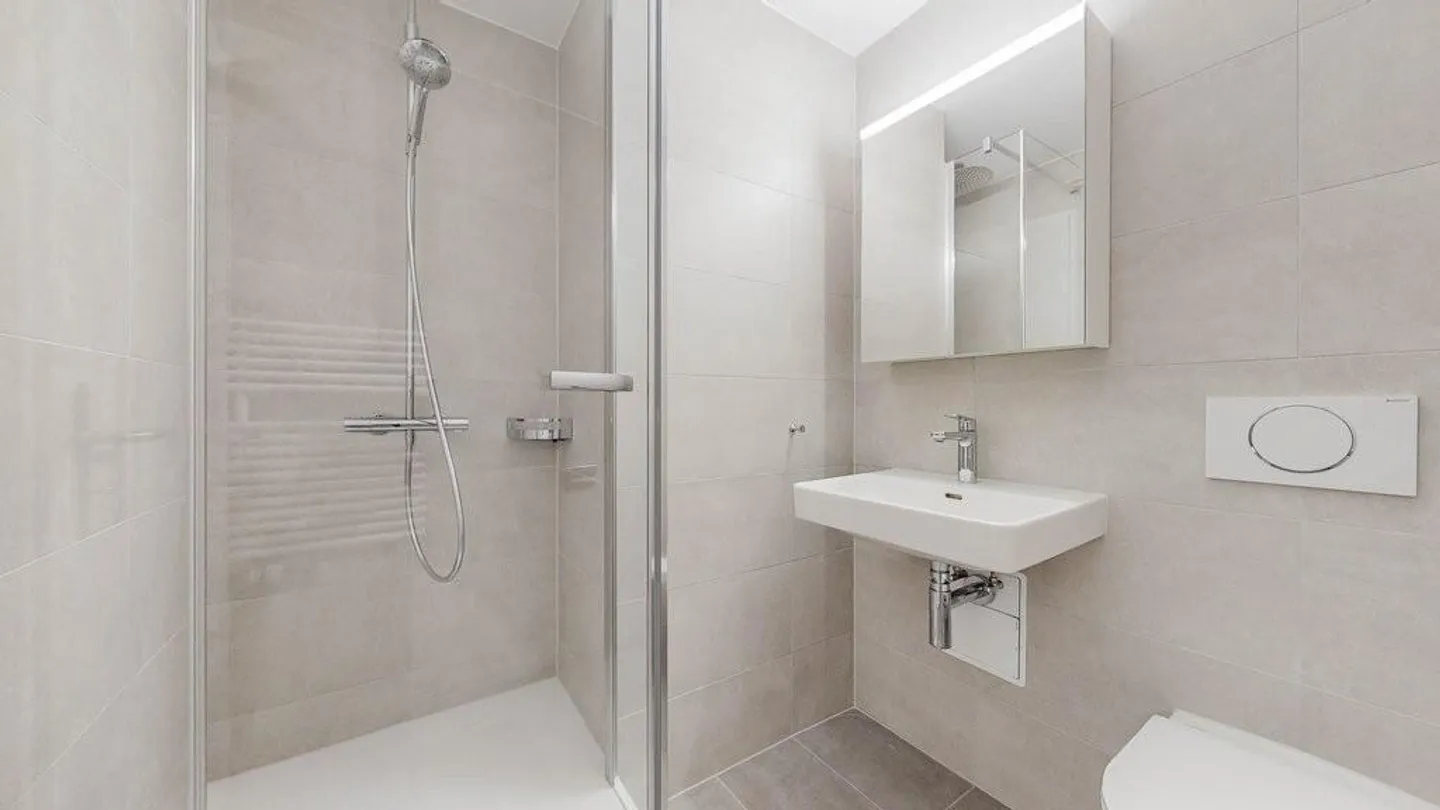 Rent a 4 ½ rooms apartment in Solothurn - Photo 6 of 12