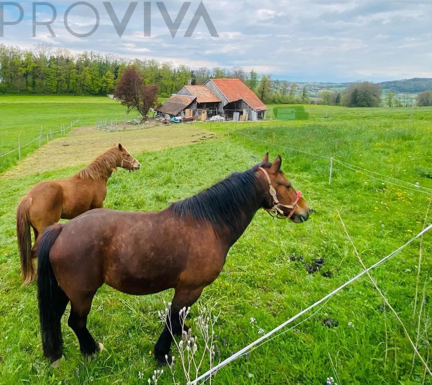 Farm 3.5 rooms - Photo 2 of 2