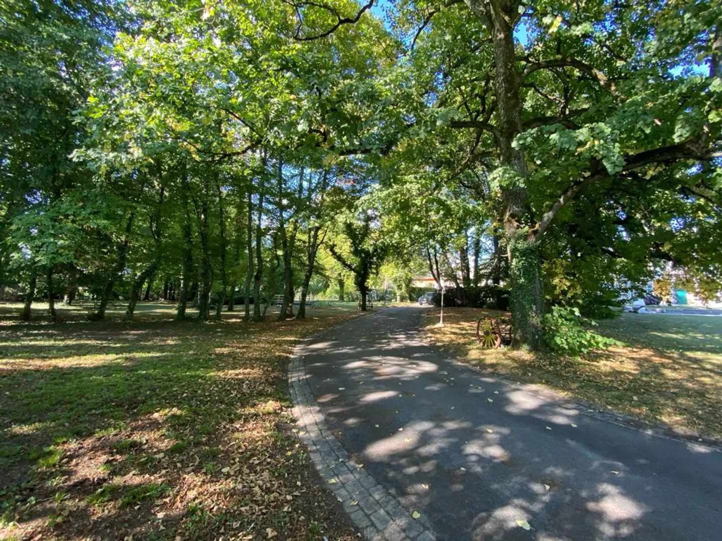 Prächtiges Herrenhaus in einem baumgesäumten und abgeschlossenen Park - Foto 4 von 7