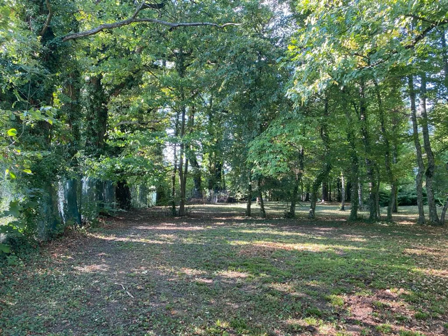 Prächtiges Herrenhaus in einem baumgesäumten und abgeschlossenen Park - Foto 1 von 7