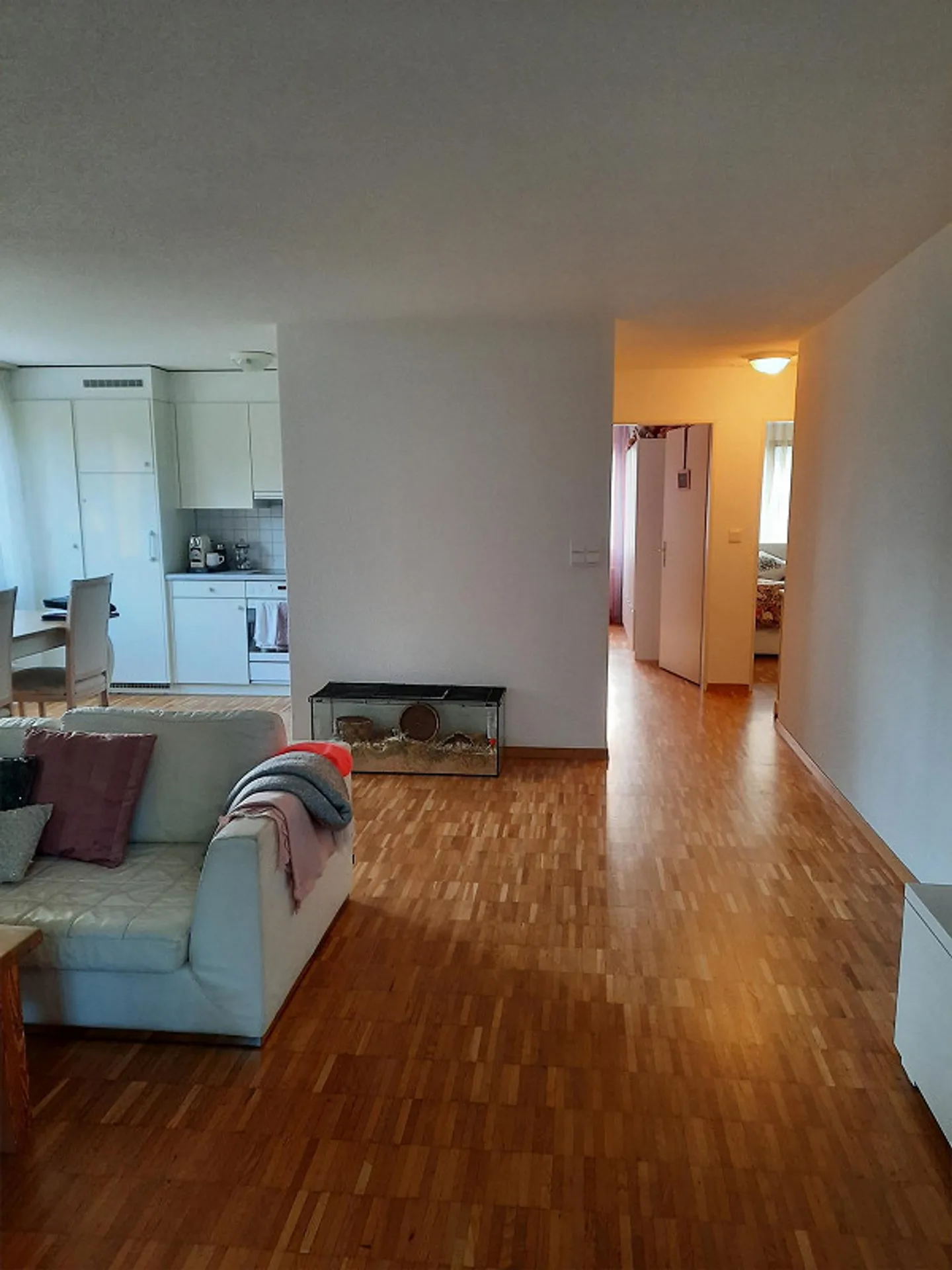 Appartamento 3.5 locali con giardino spazioso - Foto 4 di 8