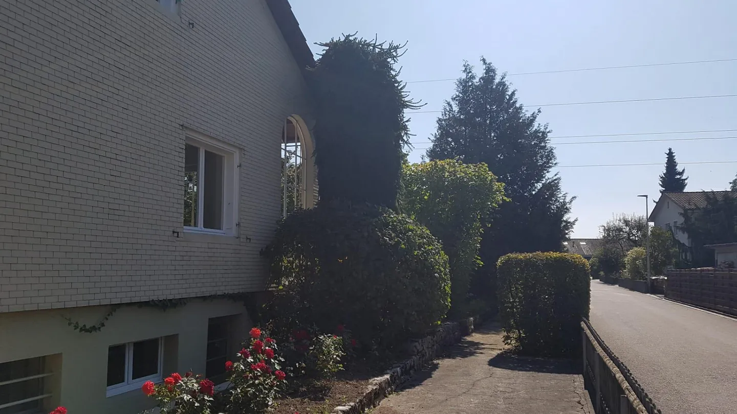 Casa unifamiliare per amanti del giardino - Foto 4 di 16