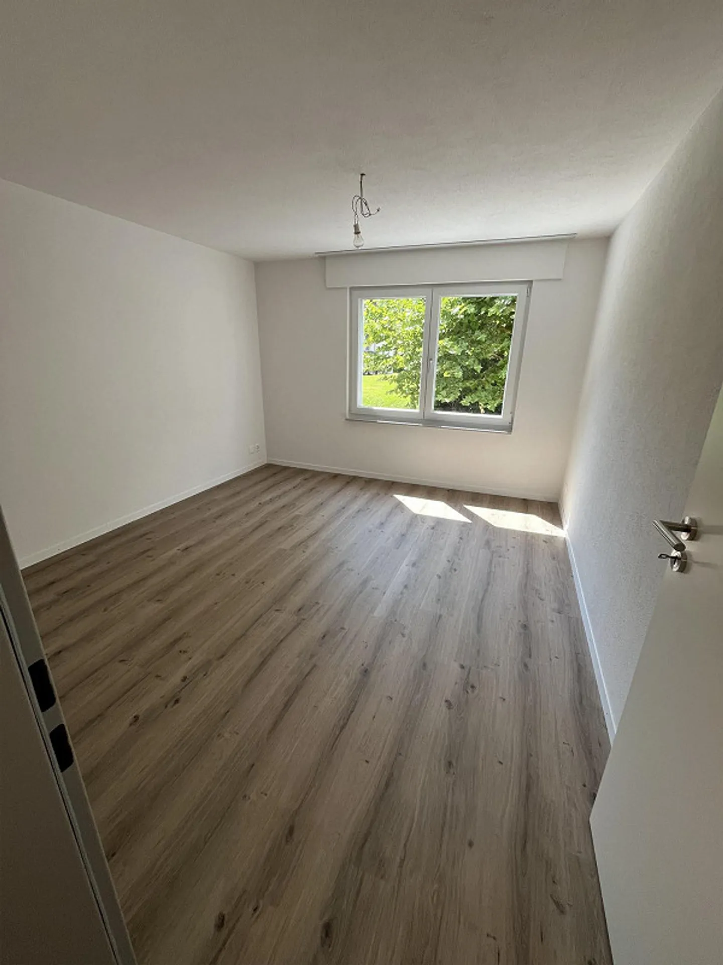 First rental modern 4.5 room apartment with south balcony - Photo 4 of 4