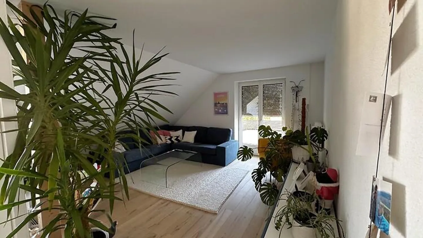 APPARTAMENTO 4½ STANZE A BERN, ARREDATO, TEMPORANEO - Foto 1 di 9
