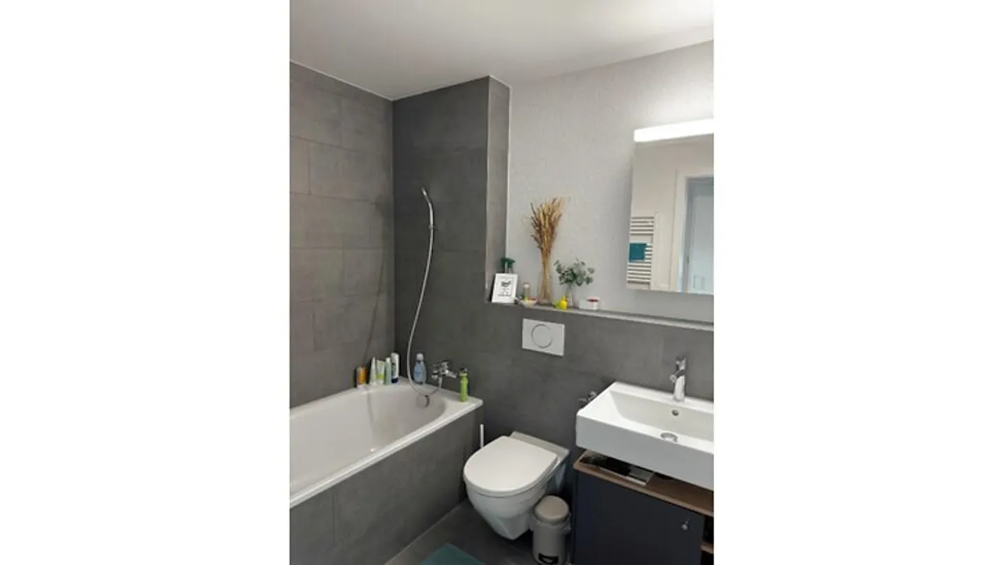 APPARTAMENTO 4½ STANZE A BERN, ARREDATO, TEMPORANEO - Foto 7 di 9