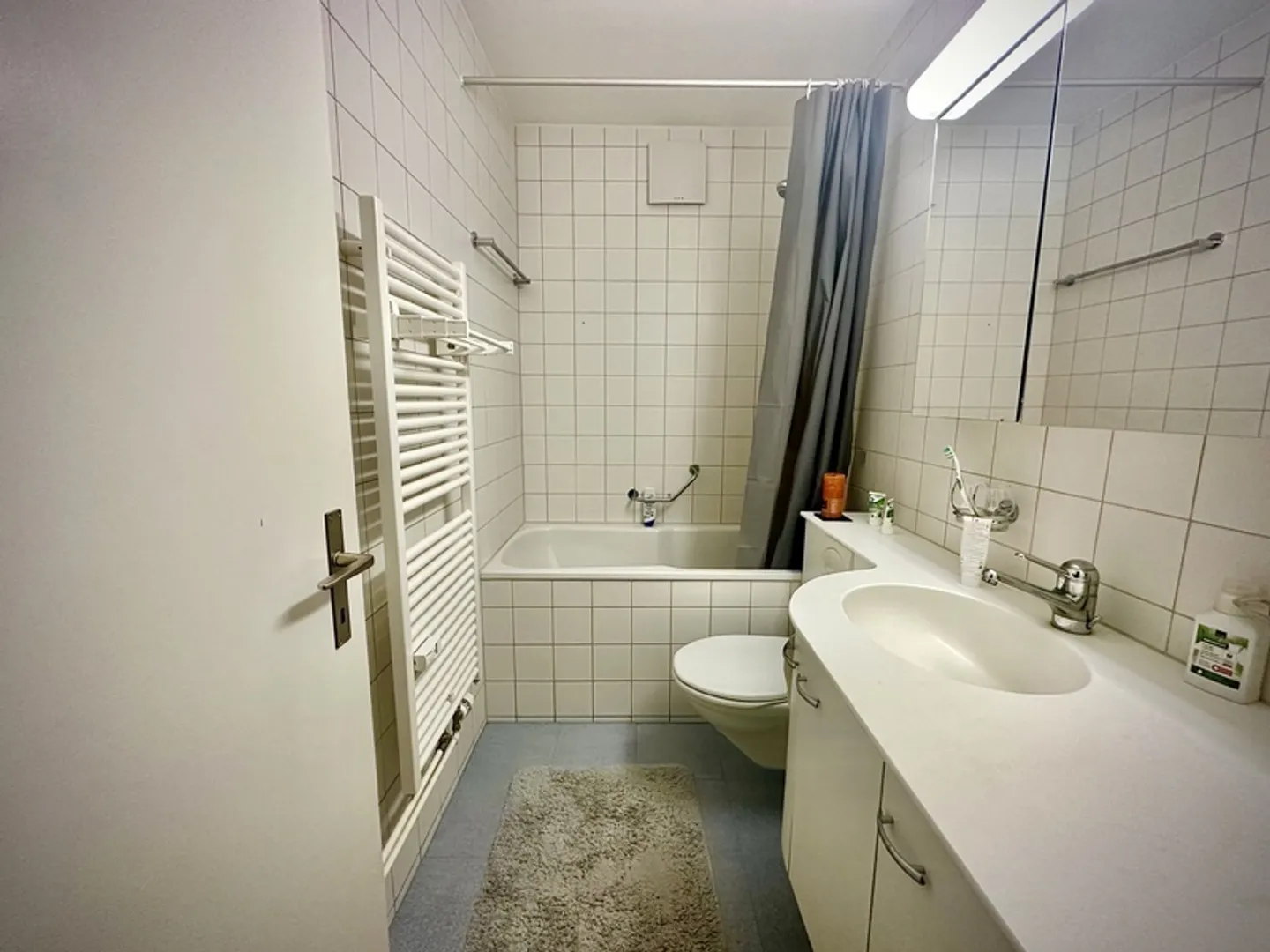 APPARTEMENT 2 PIÈCES À BERN - BREITENRAIN, MEUBLÉ, TEMPORAIRE - Photo 8 sur 9