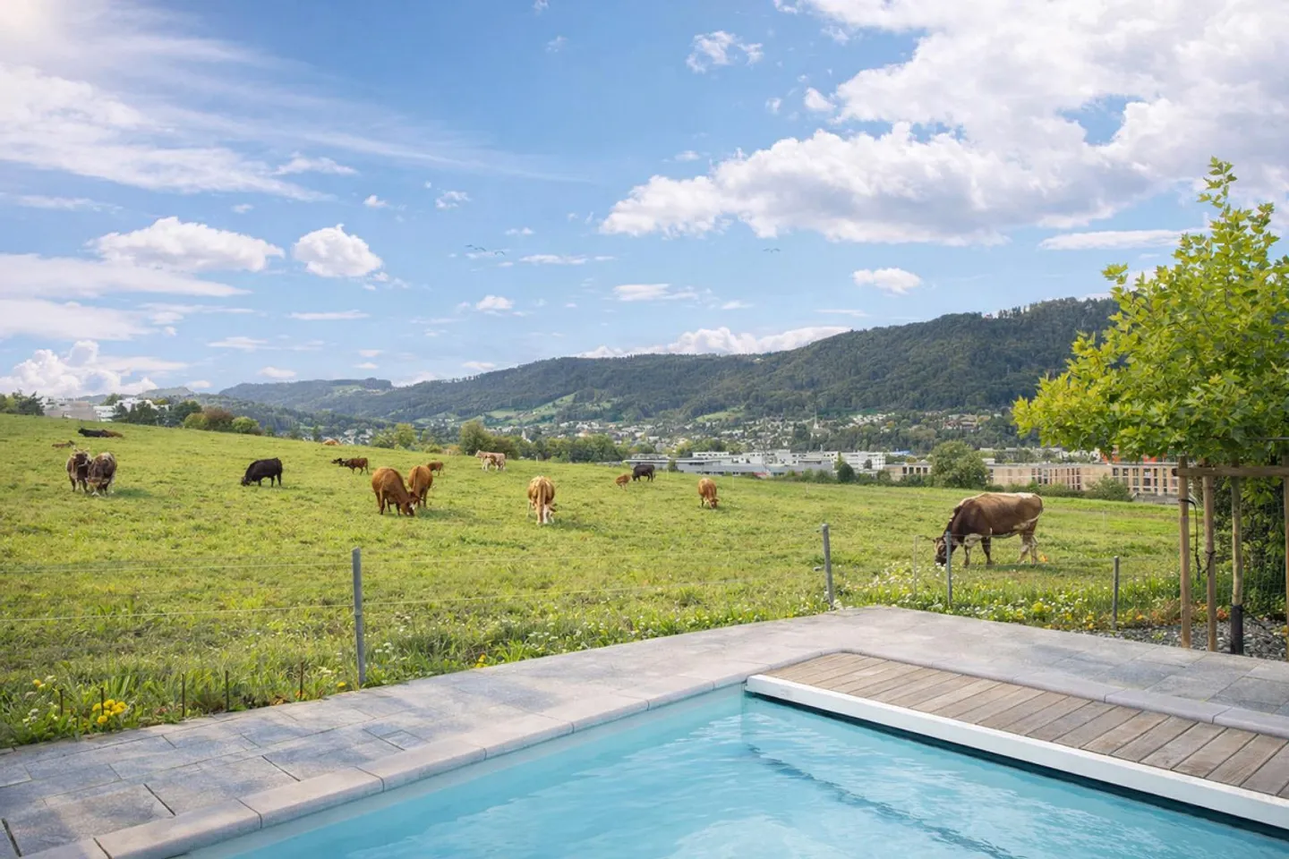 Casa 5½ locali con piscina e vista mozzafiato - Foto 4 di 5