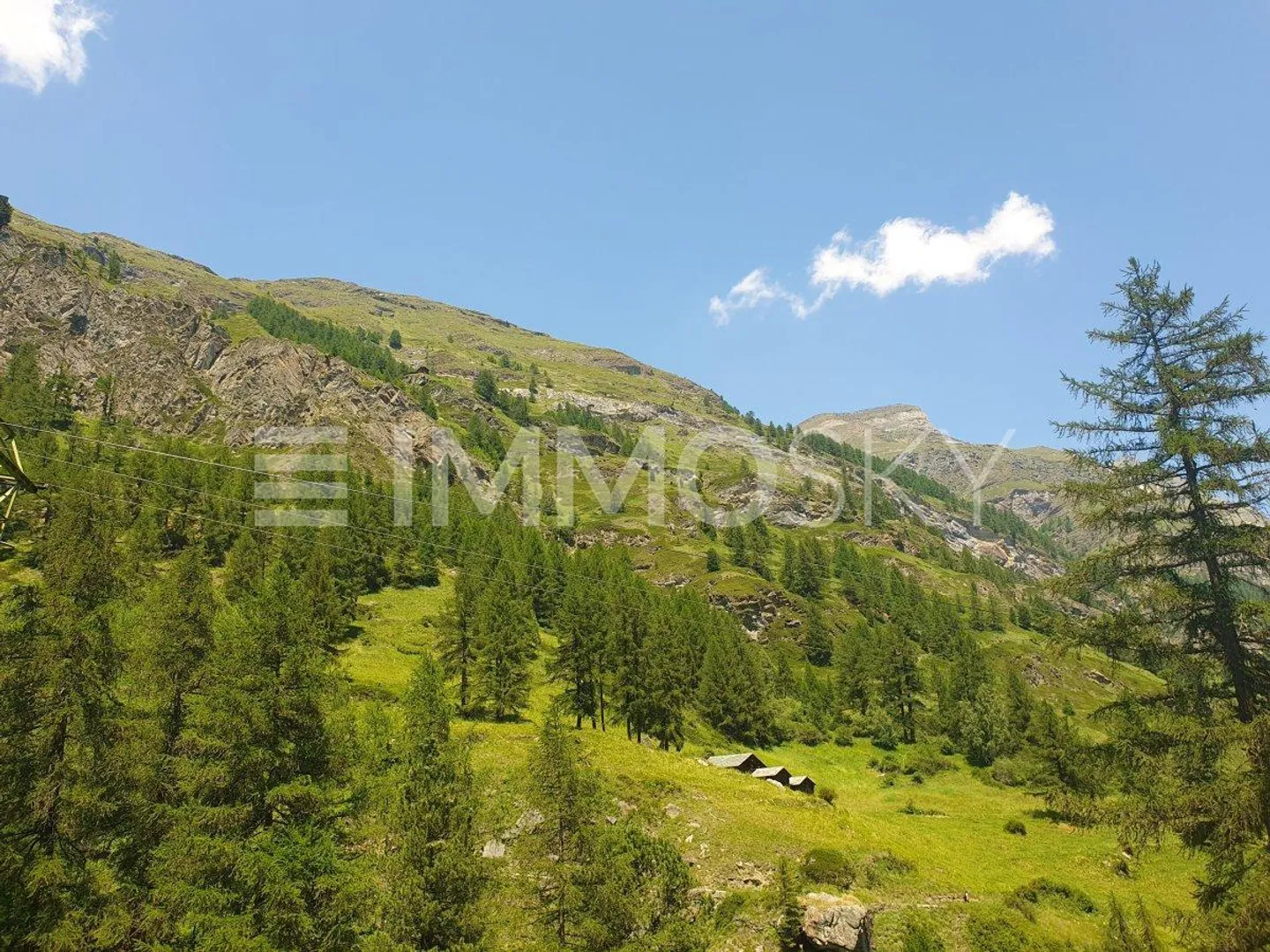 Bauland neben der Skipiste - Foto 4 von 5