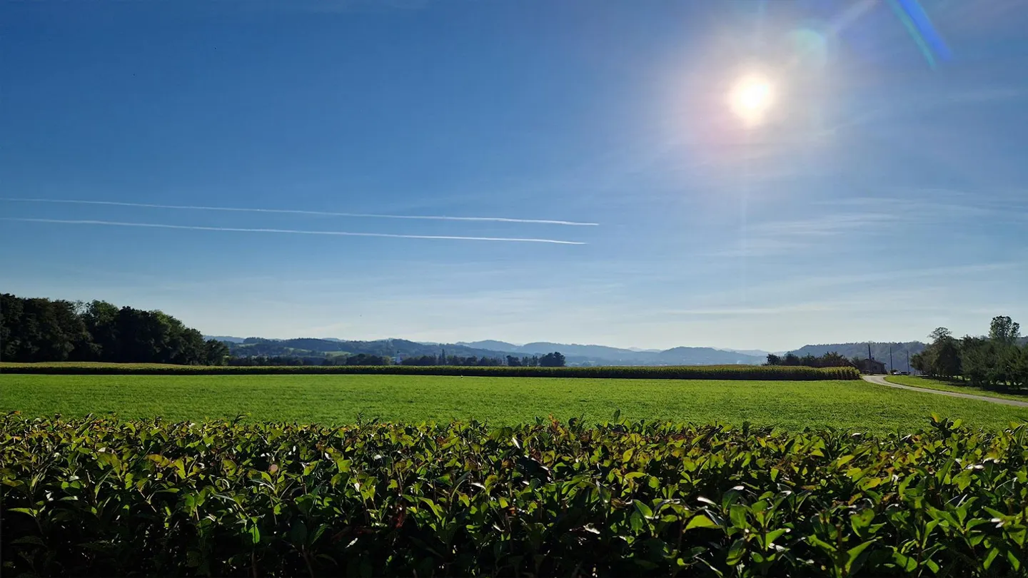 Vivre à la campagne dans une maison individuelle fraîchement rénovée - Photo 7 sur 14