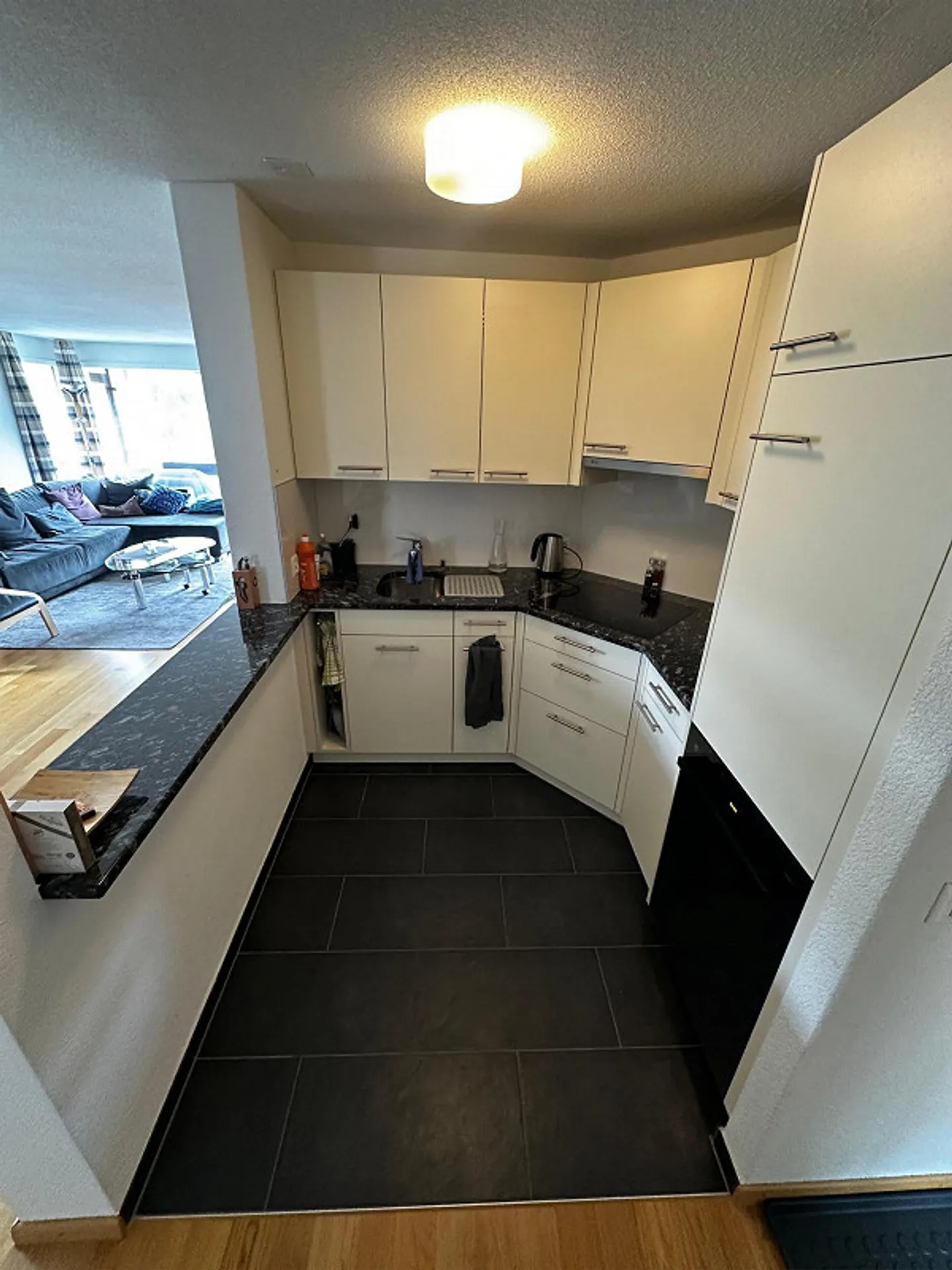 Appartement 3 pièces - vue pure ! - Photo 7 sur 11