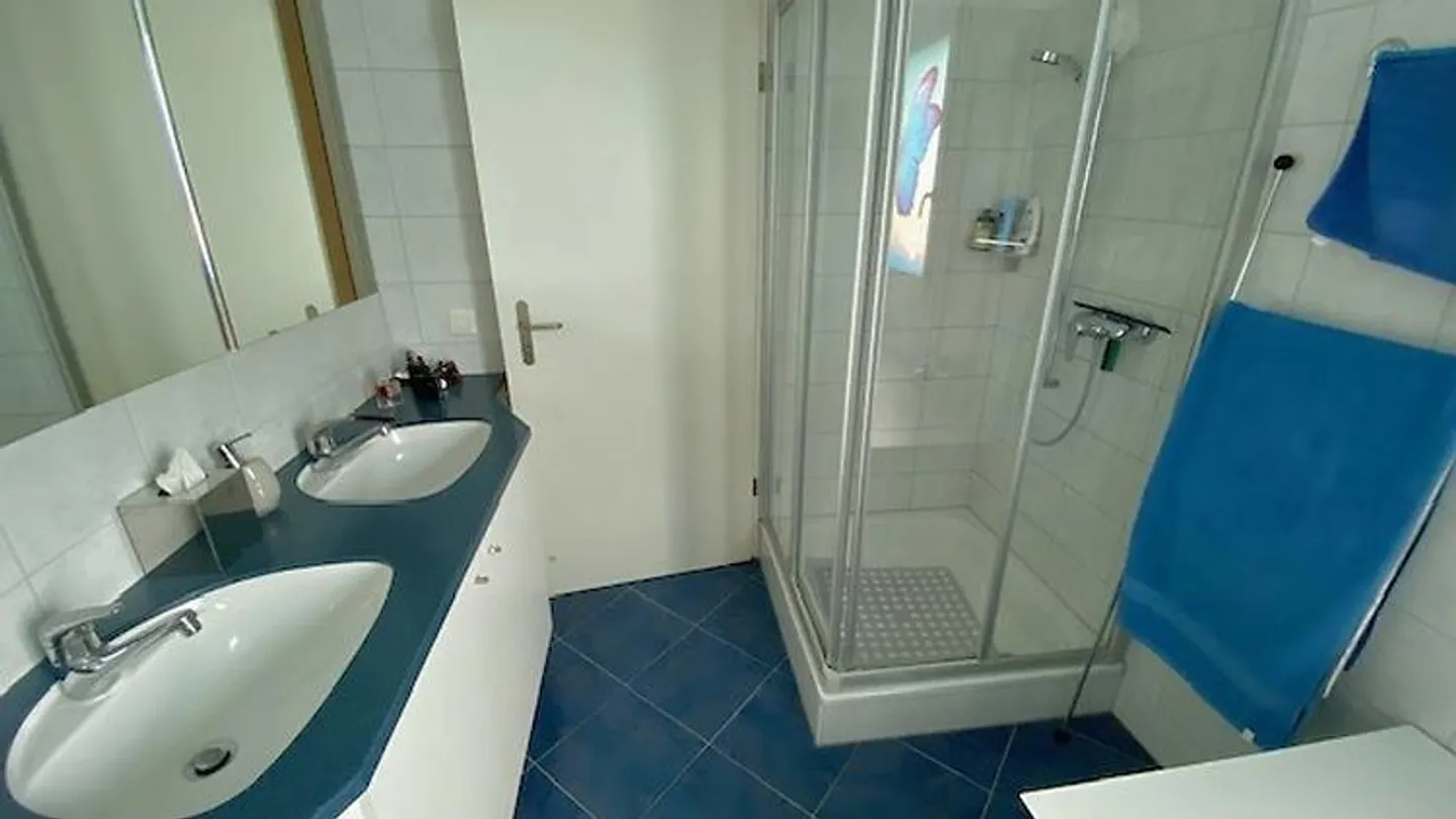 APPARTAMENTO 3½ STANZE A SCHÖFTLAND (AG), ARREDATO, TEMPORANEO - Foto 6 di 10