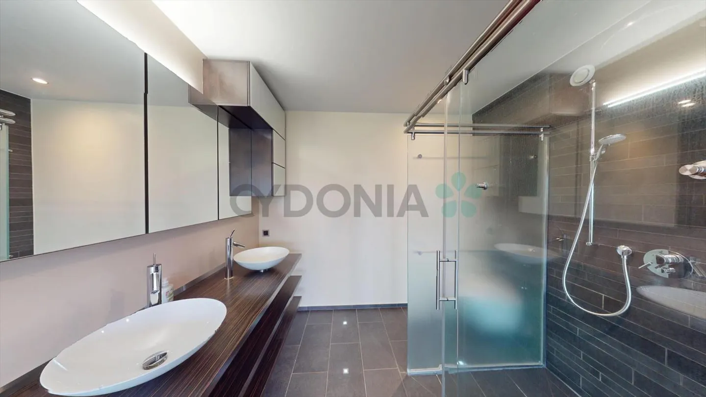 Duplex-Penthouse a Plan-les-Ouates - Foto 5 di 9