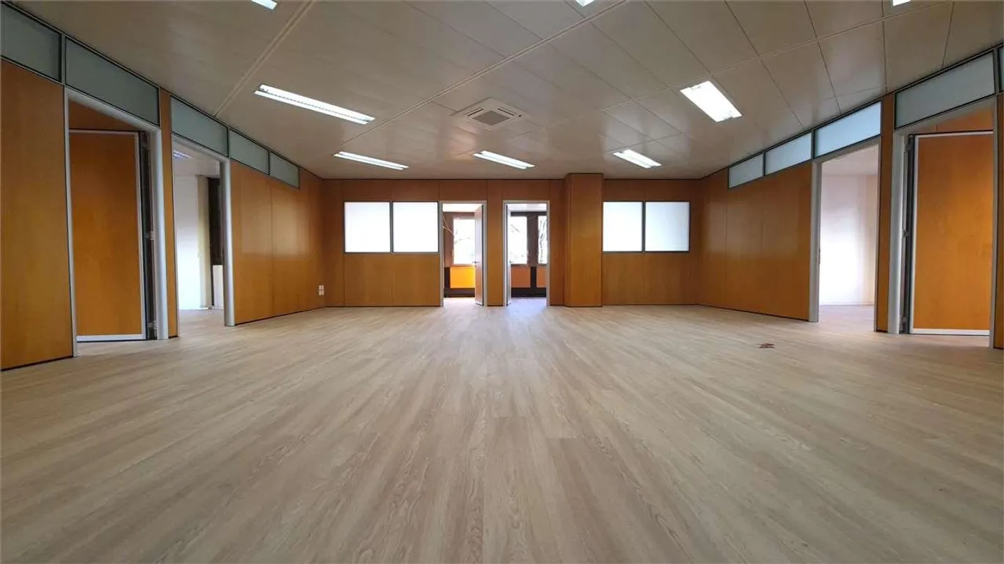 A Paradiso, ampio ufficio con vista lago - Foto 2 di 3