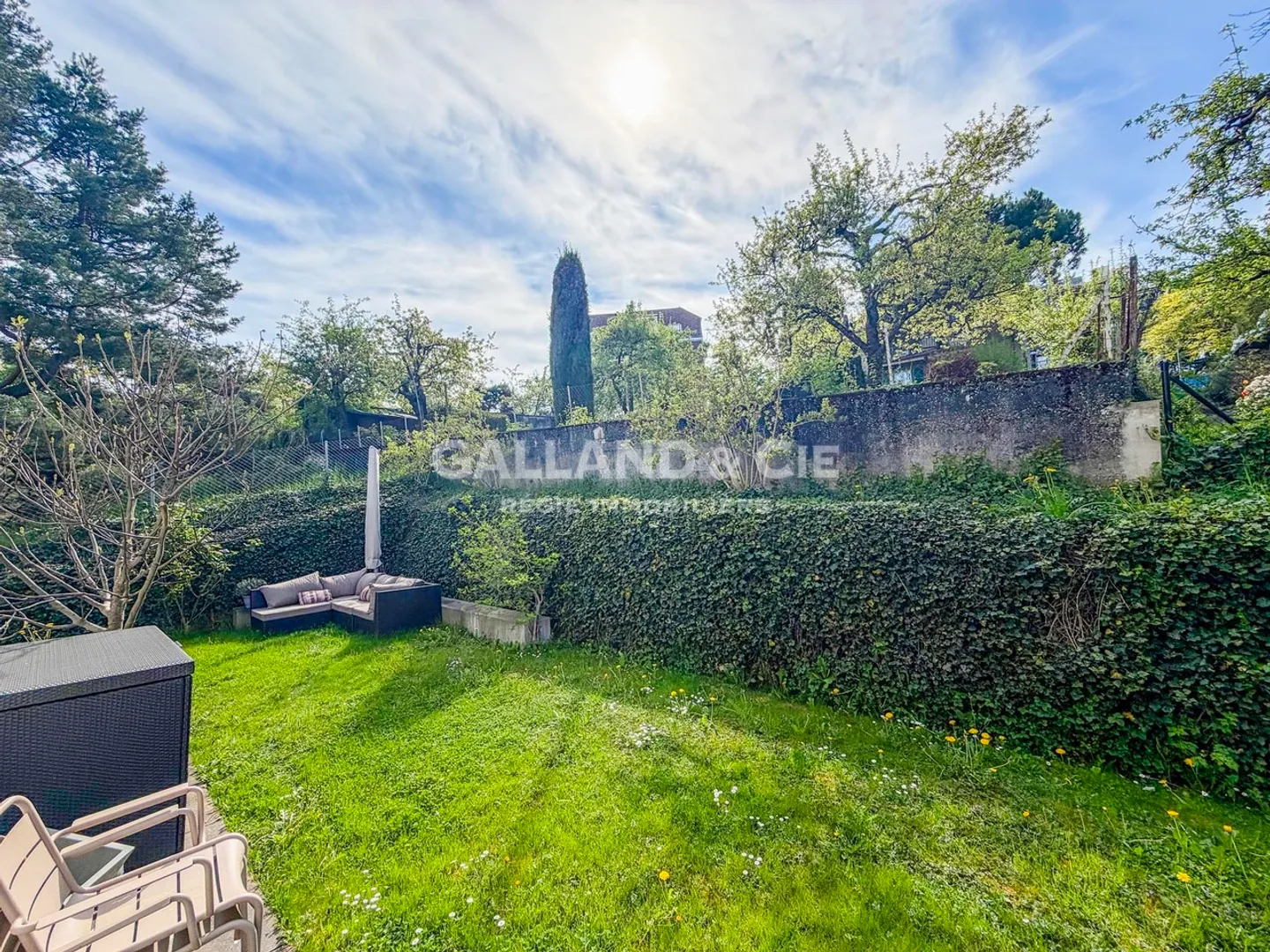 4.5 Room Apartment - Photo 13 of 14