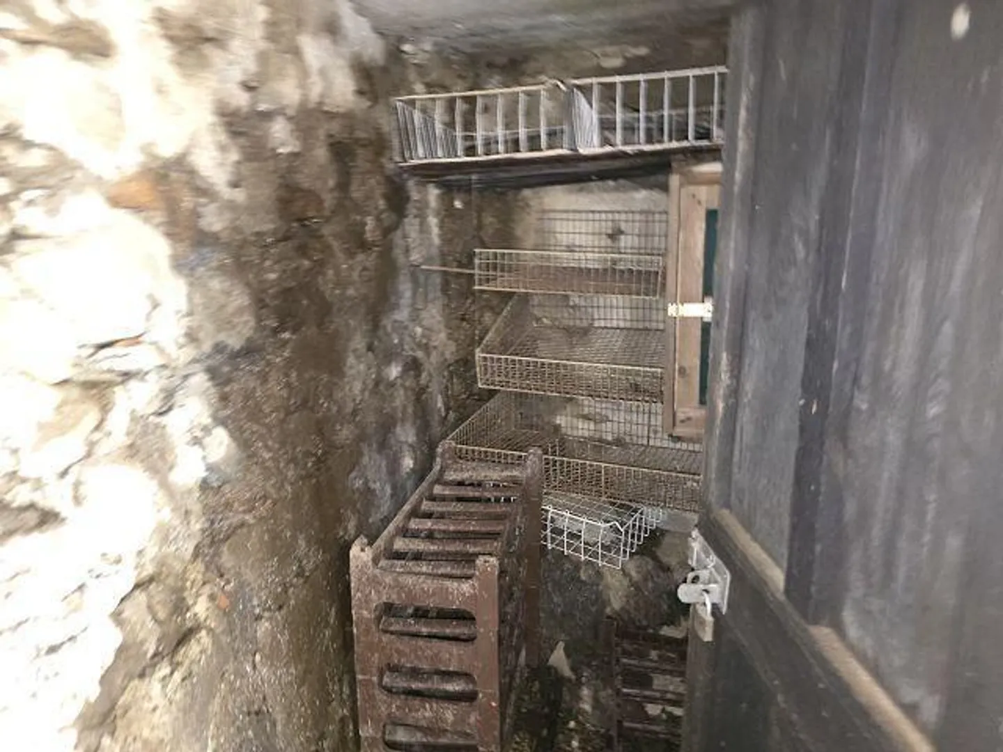 Rustico 3 1/2 locali in posizione isolata nella natura con molto terreno - Foto 17 di 32