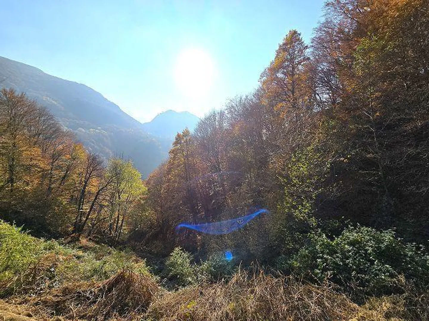 Rustico 3 1/2 locali in posizione isolata nella natura con molto terreno - Foto 21 di 32