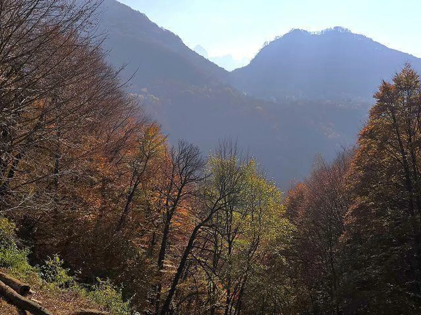 Rustico 3 1/2 locali in posizione isolata nella natura con molto terreno - Foto 22 di 32