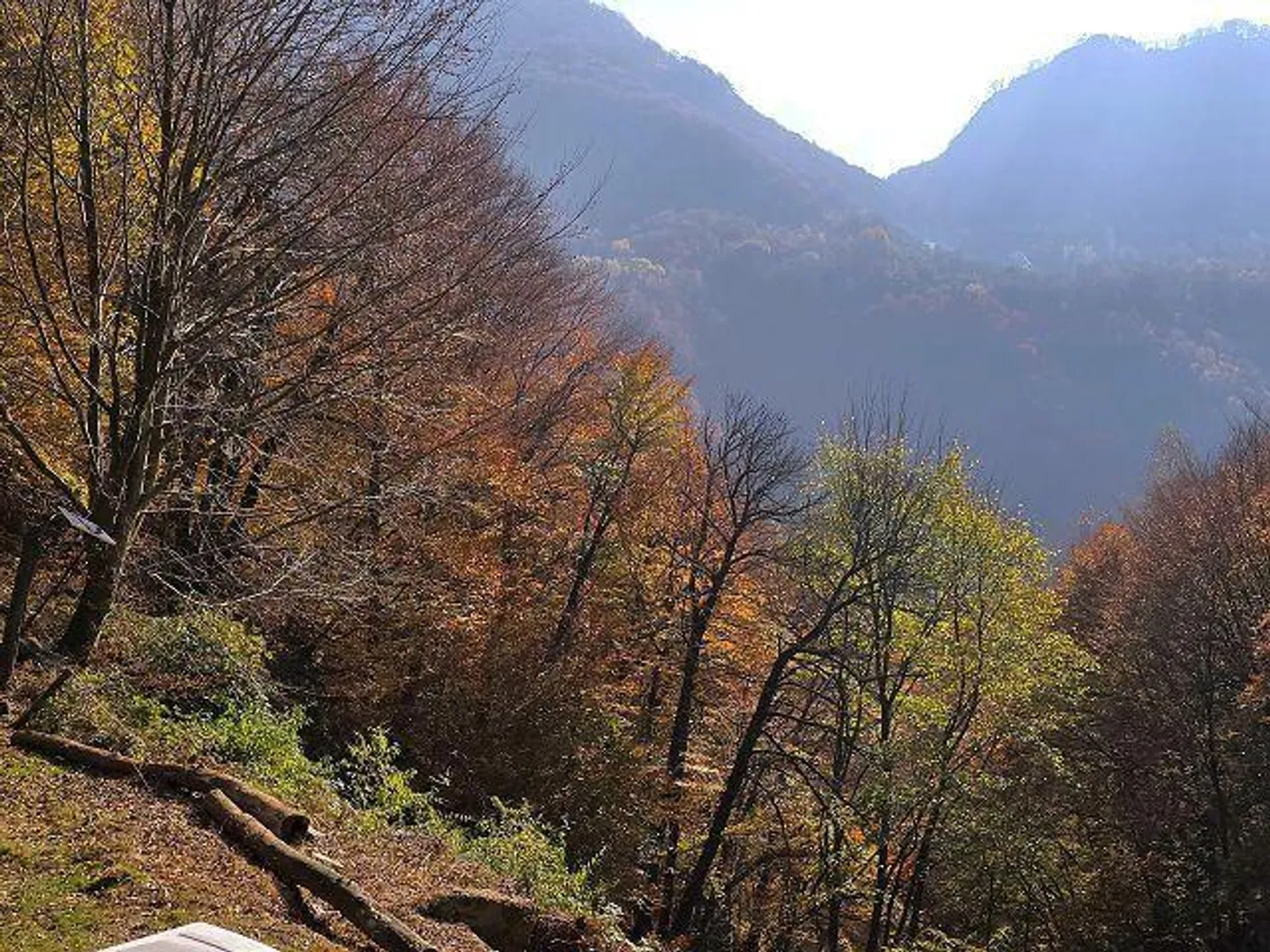 Rustico 3 1/2 locali in posizione isolata nella natura con molto terreno - Foto 23 di 32