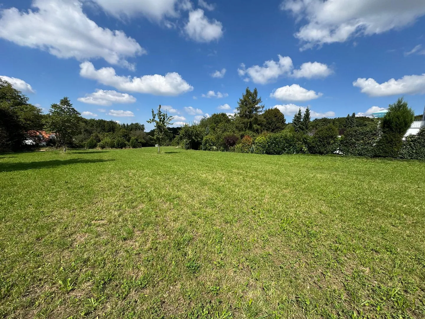 Terreno da sogno a Hochwald con riserva di costruzione e progetto approvato - Foto 3 di 13