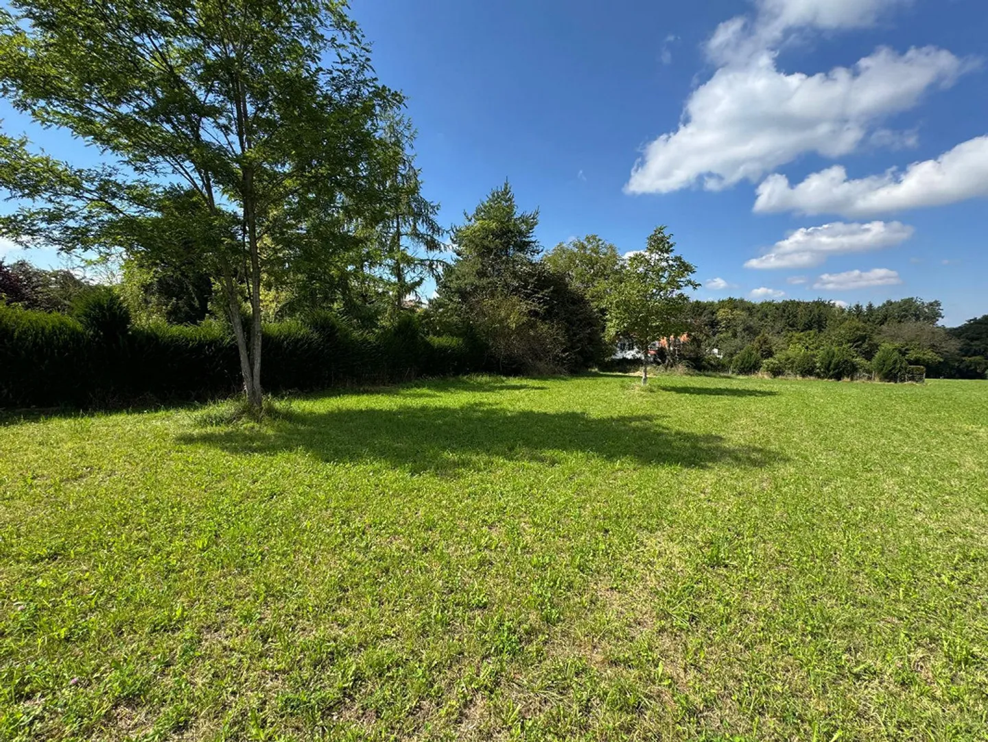 Terreno da sogno a Hochwald con riserva di costruzione e progetto approvato - Foto 5 di 13