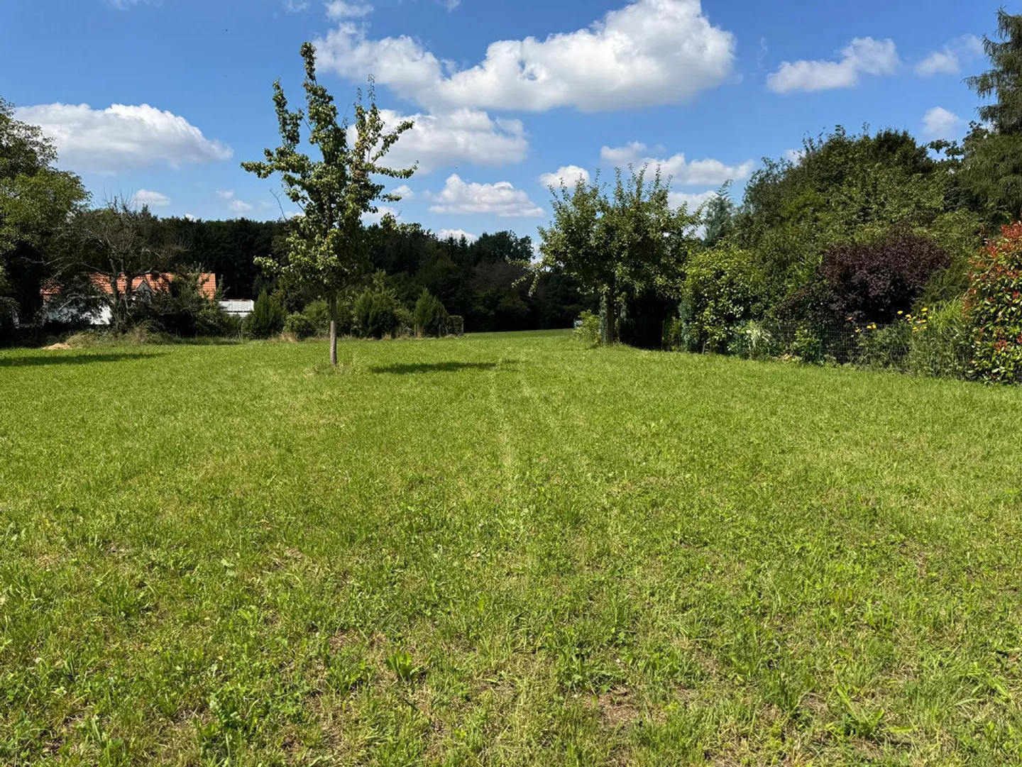 Terreno da sogno a Hochwald con riserva di costruzione e progetto approvato - Foto 7 di 13