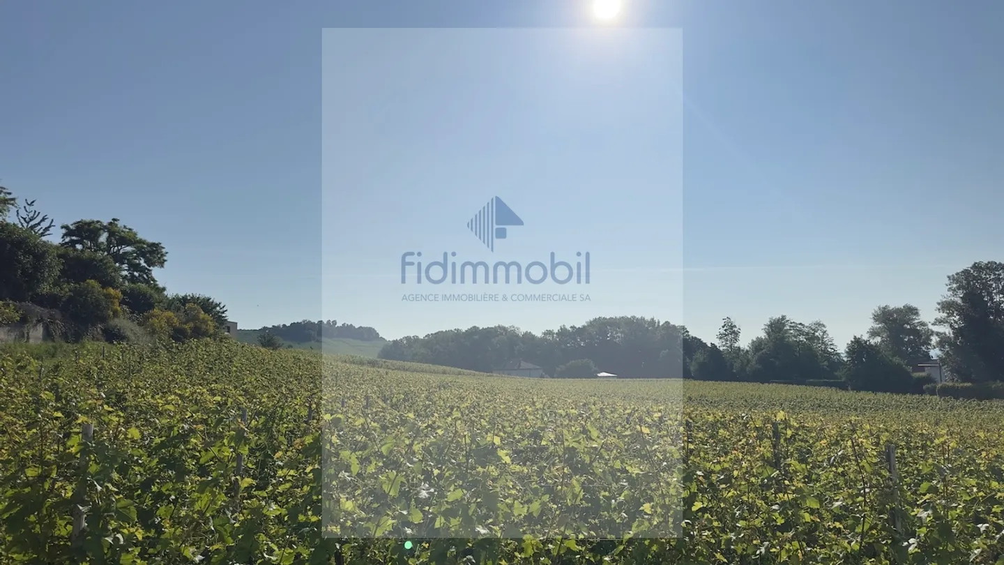 Familienvilla mit Blick auf den See, die Alpen und die Weinberge - Foto 11 von 11