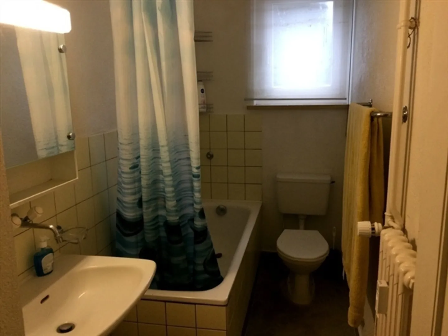 «Appartement 2 pièces à Berne - Felsenau/Tiefenau, meublé, temporaire» - Photo 9 sur 9