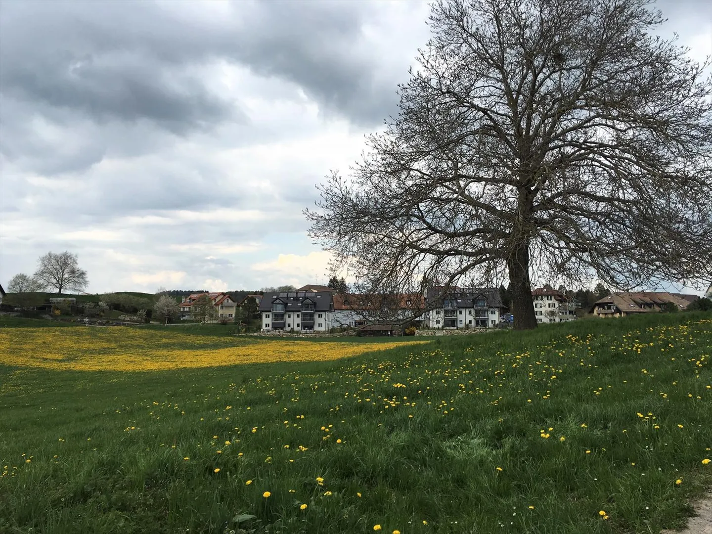 Duplex 3.5 pièces - Photo 11 sur 13