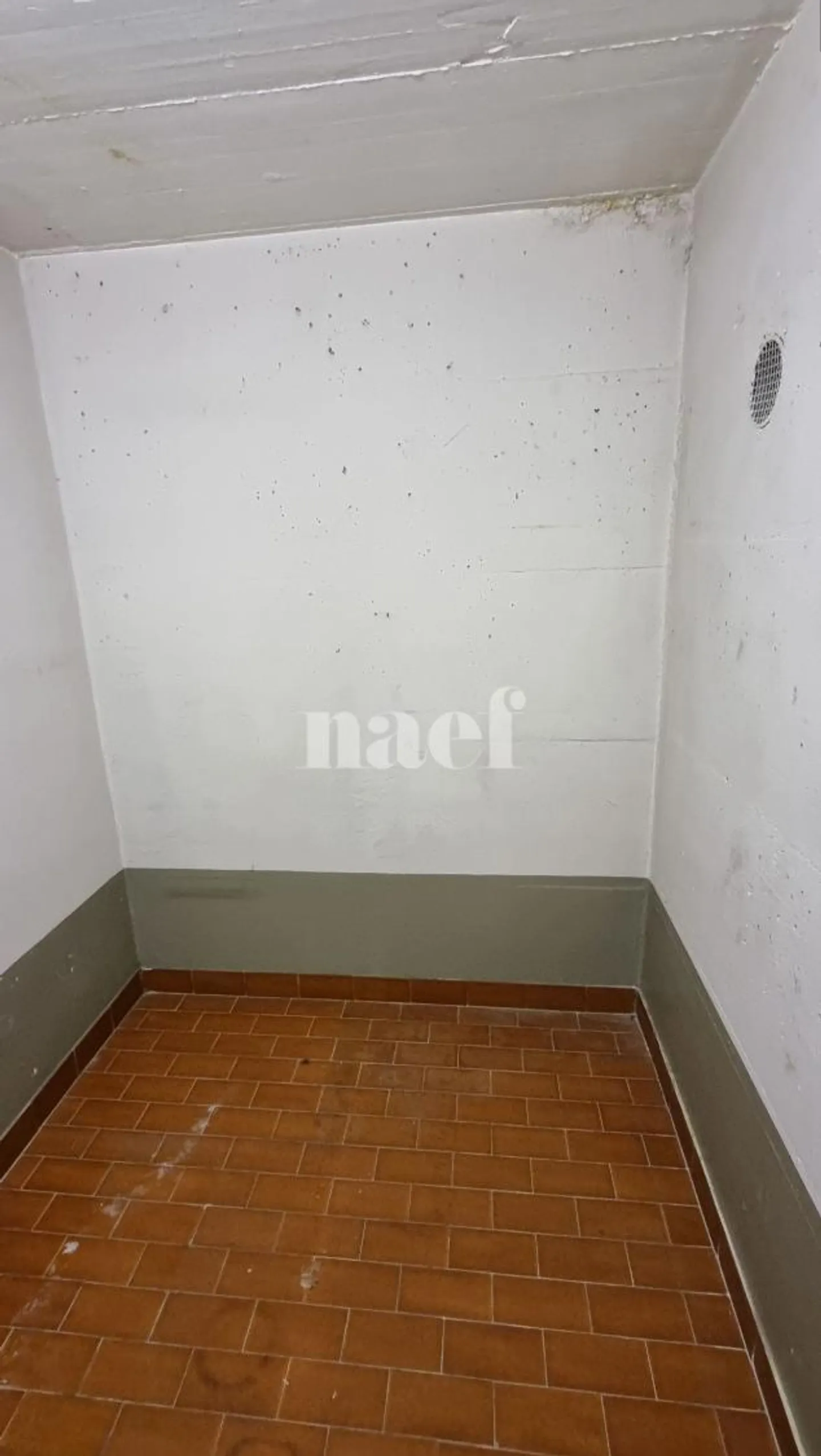 Espace de stockage en sous-sol - Photo 2 sur 2